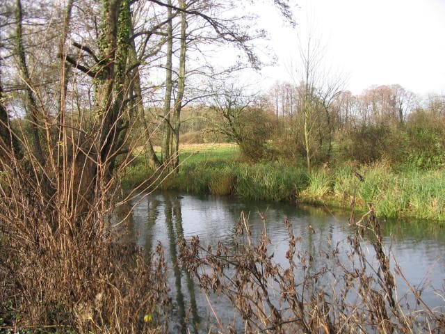 The River Test seen from Budds Lane on the edge of Romsey